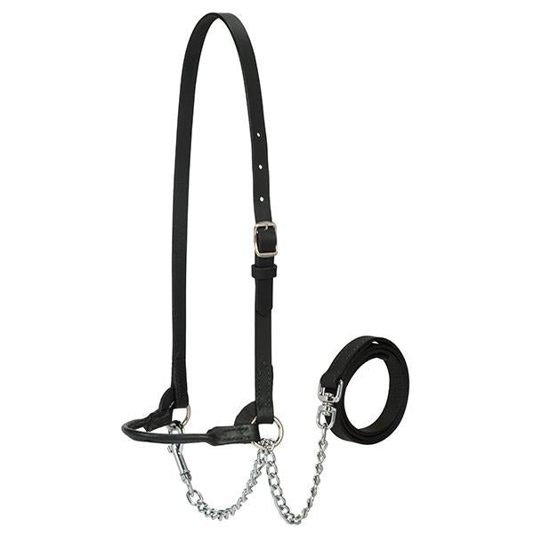 Dairy Halter, Extra Small, Black