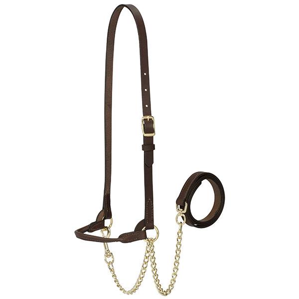 Dairy Halter, Large, Brown