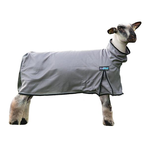 ProCool™ Mesh Sheep Blanket with Reflective Piping, Large, Gray