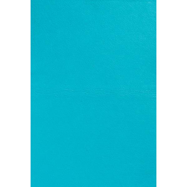 Ultra-Absorbent Chamois, Blue