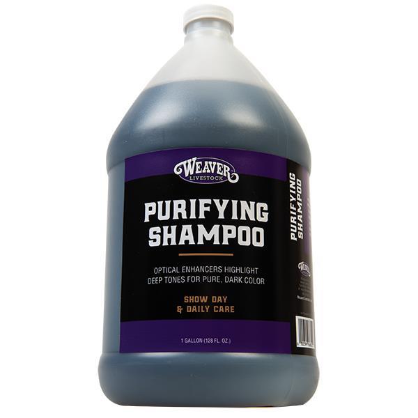 Purifying Shampoo, Gallon