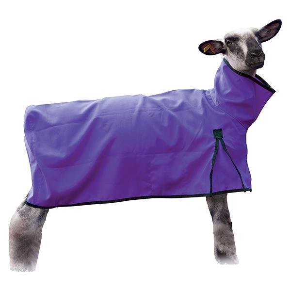 Nylon Sheep Blanket, Solid Butt, Extra Small, Purple