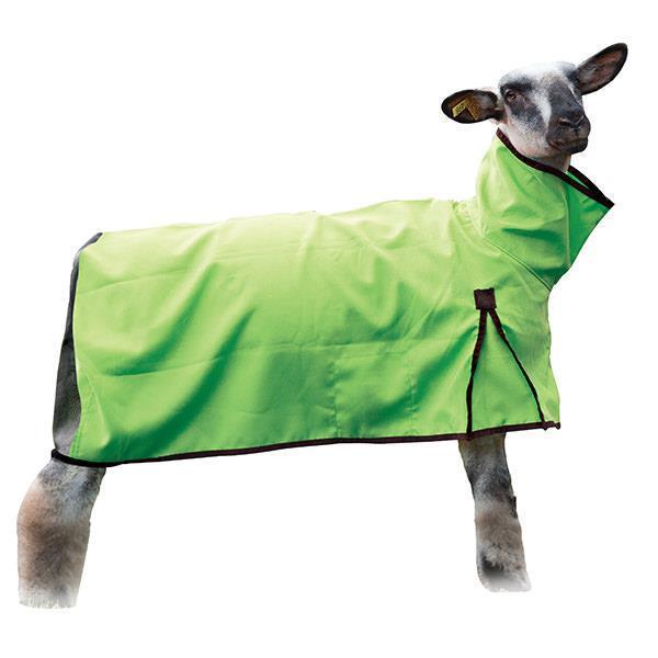 Sheep Blanket, Mesh Butt, Extra-Long, Lime