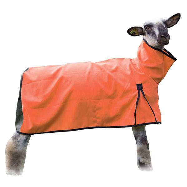 Sheep Blanket, Mesh Butt, Extra-Large, Orange