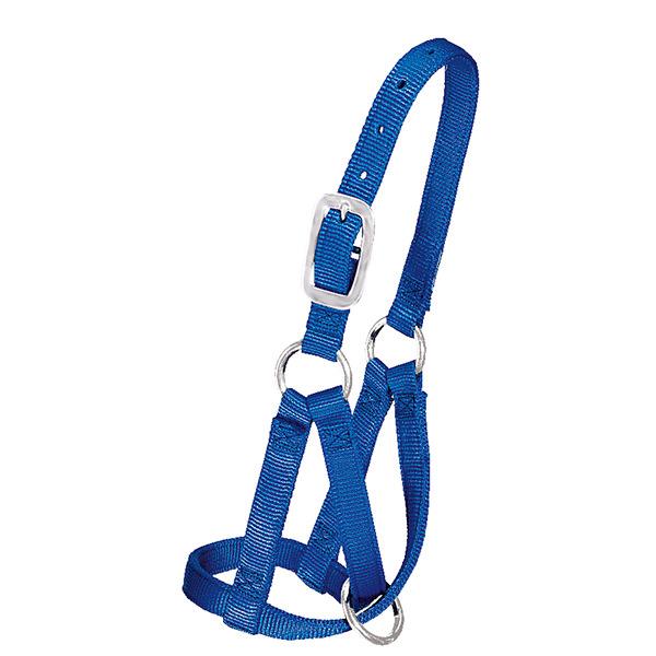 Llama Halter, 3/4" Small (Up to 8 Months)