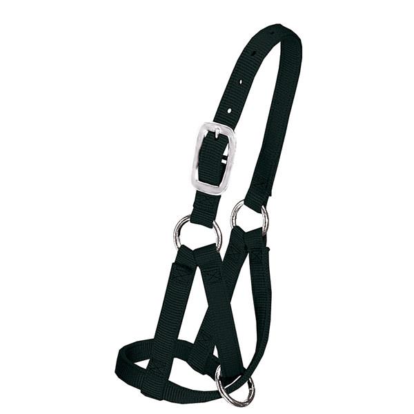 Llama Halter, 3/4" Medium/Large