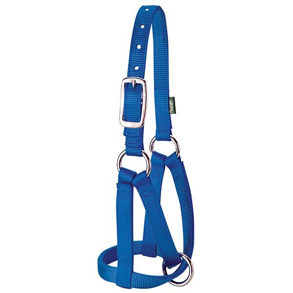 Llama Halter, 3/4" Medium/Large